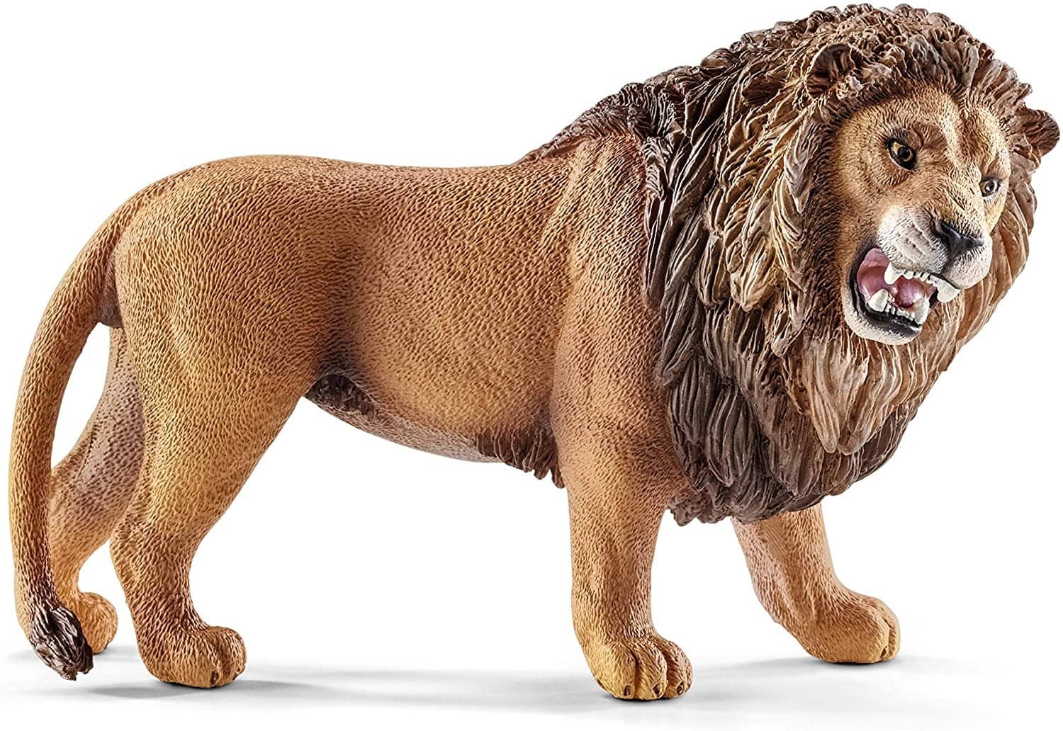 Lion; Roaring
