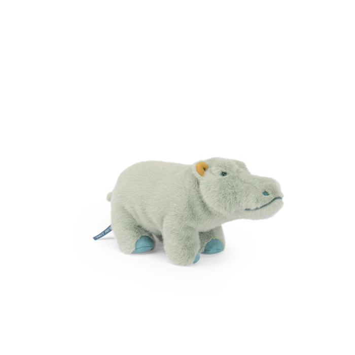 Small hippopotamus – All Around the World