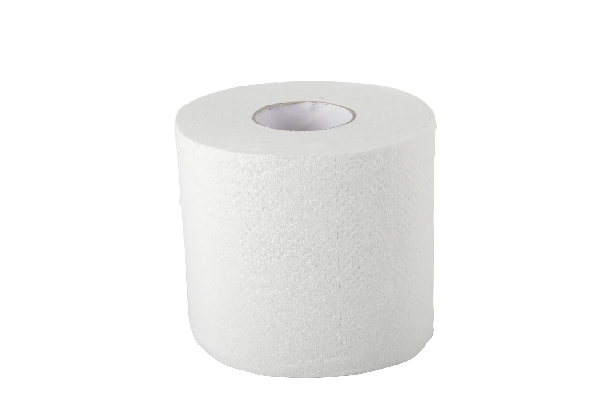 Standard Toilet Paper (case of 96)