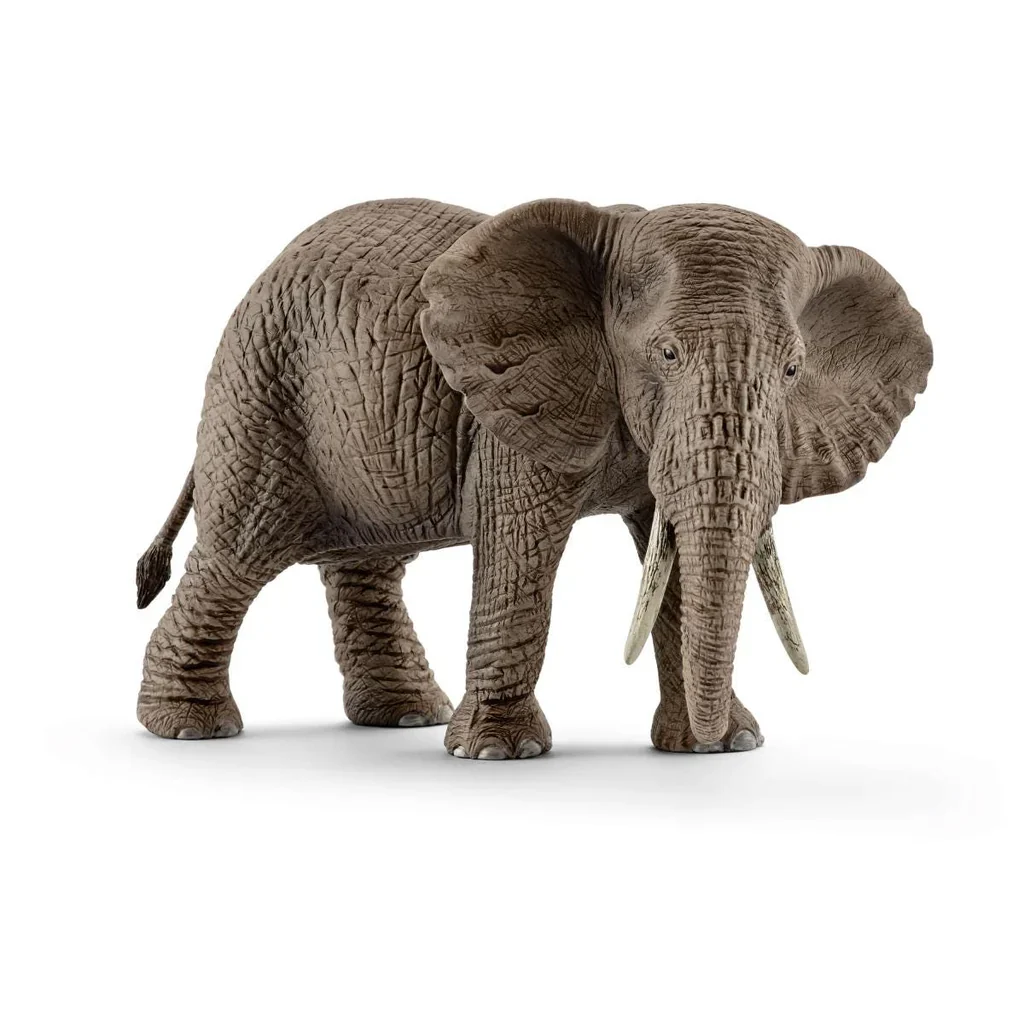 AFRICAN ELEPHANT FEMALE