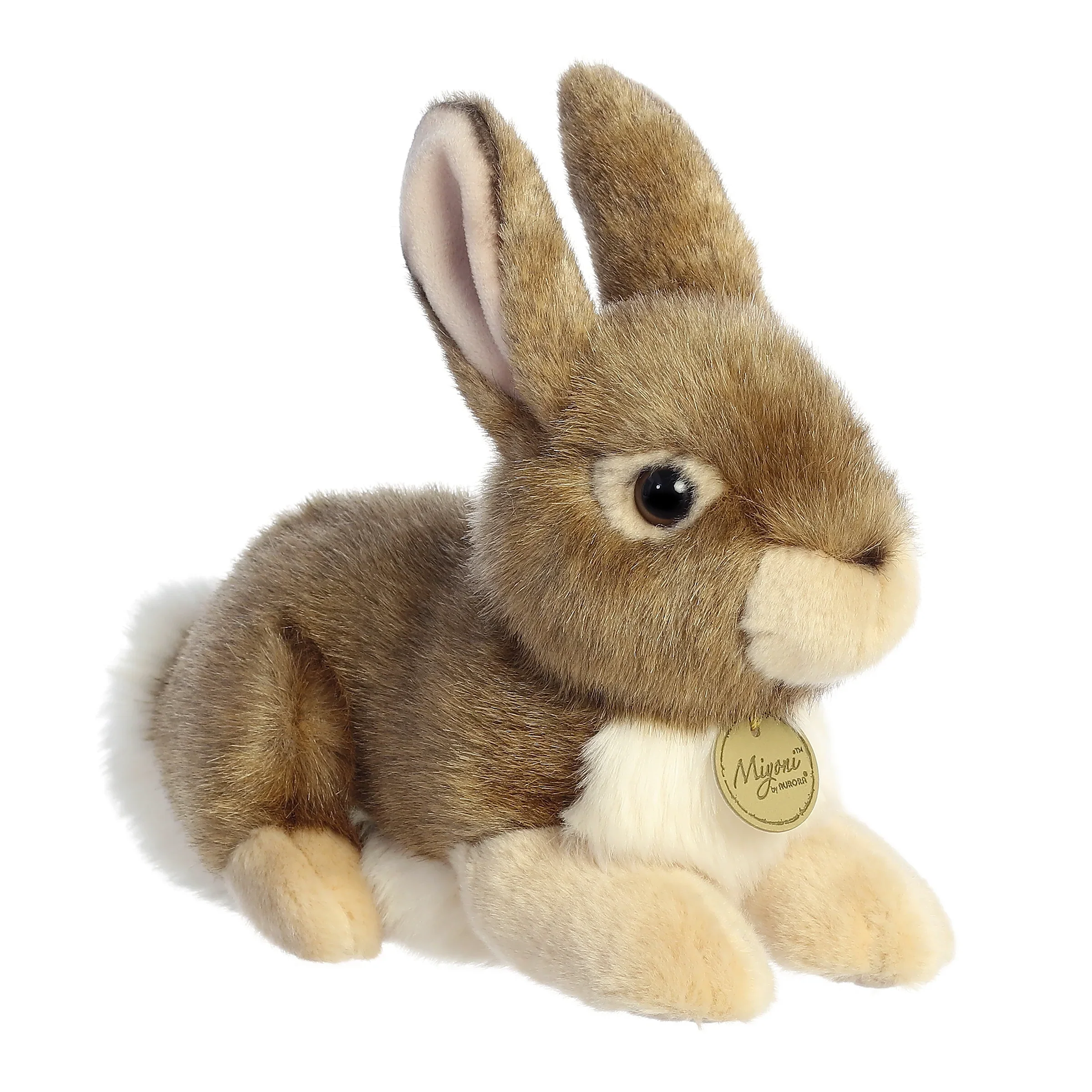 EASTERN COTTONTAIL RABBIT