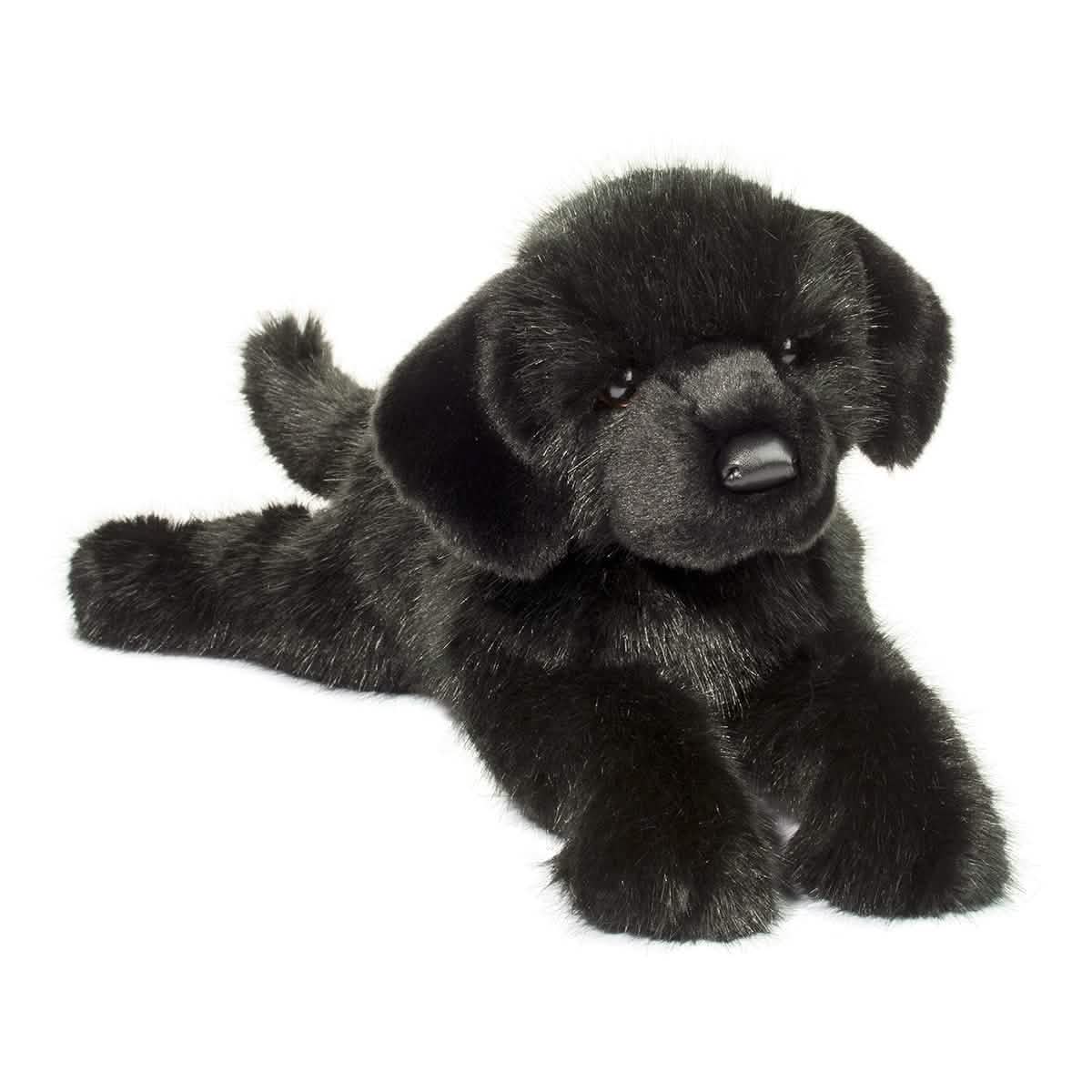 Jake Black Lab 21″