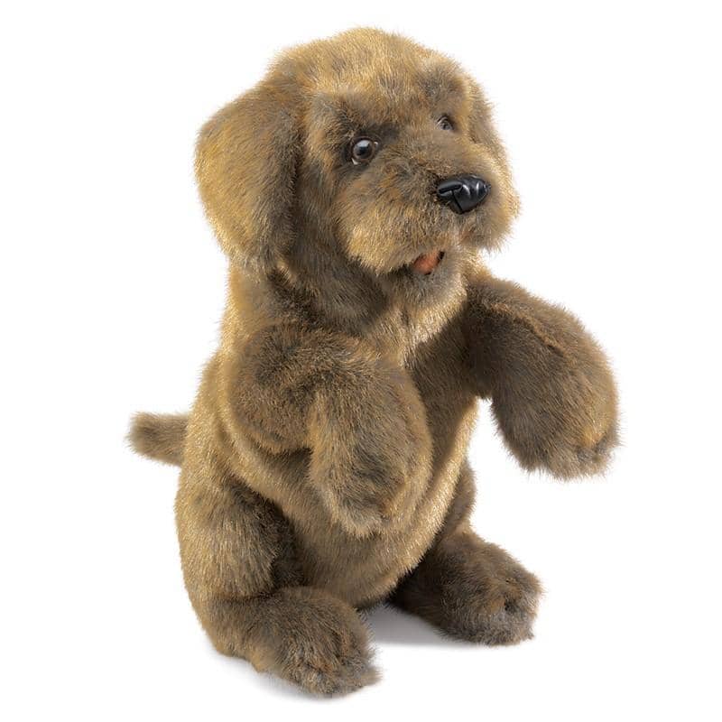 Sitting Dog