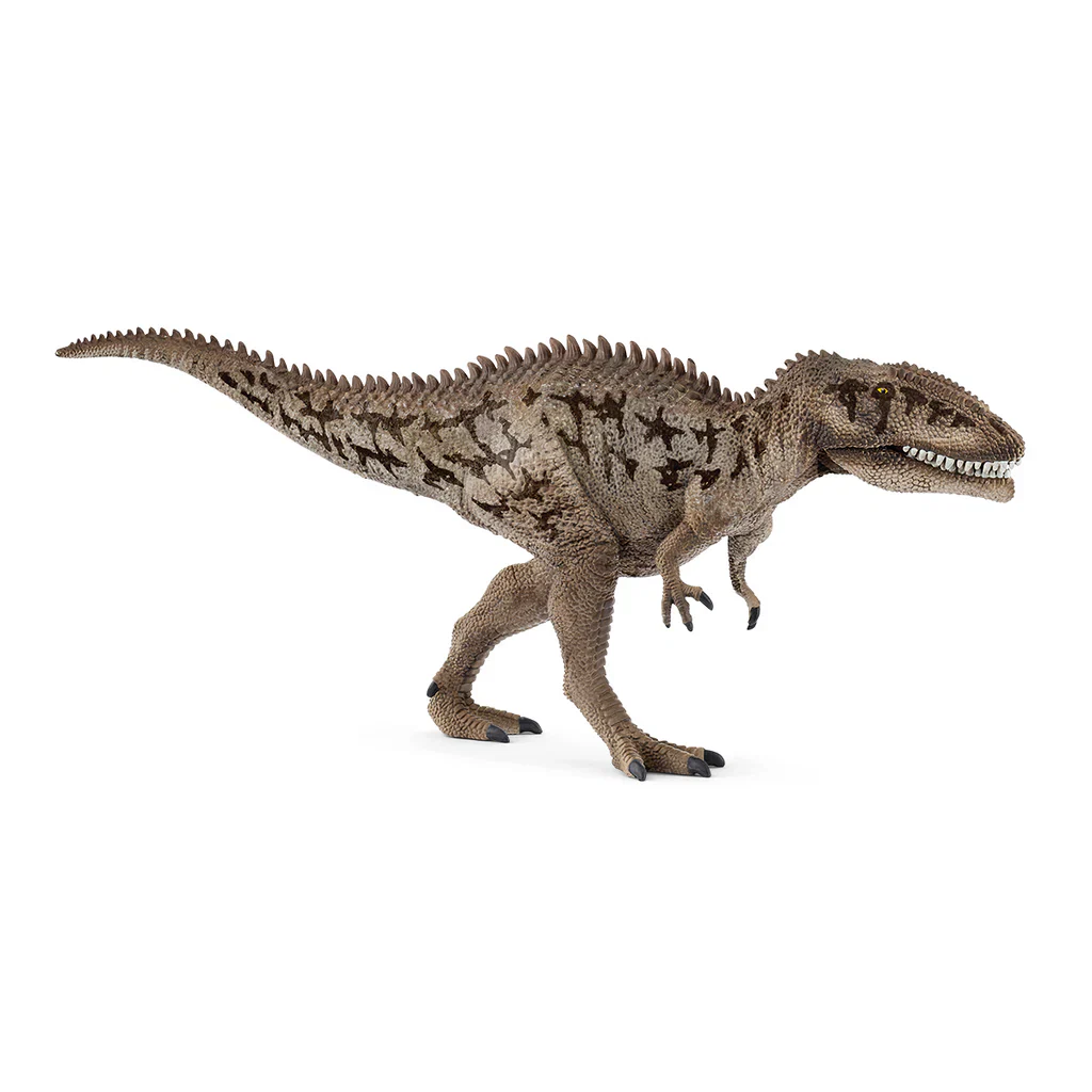 CARCHARODONTOSAURUS NEW 25
