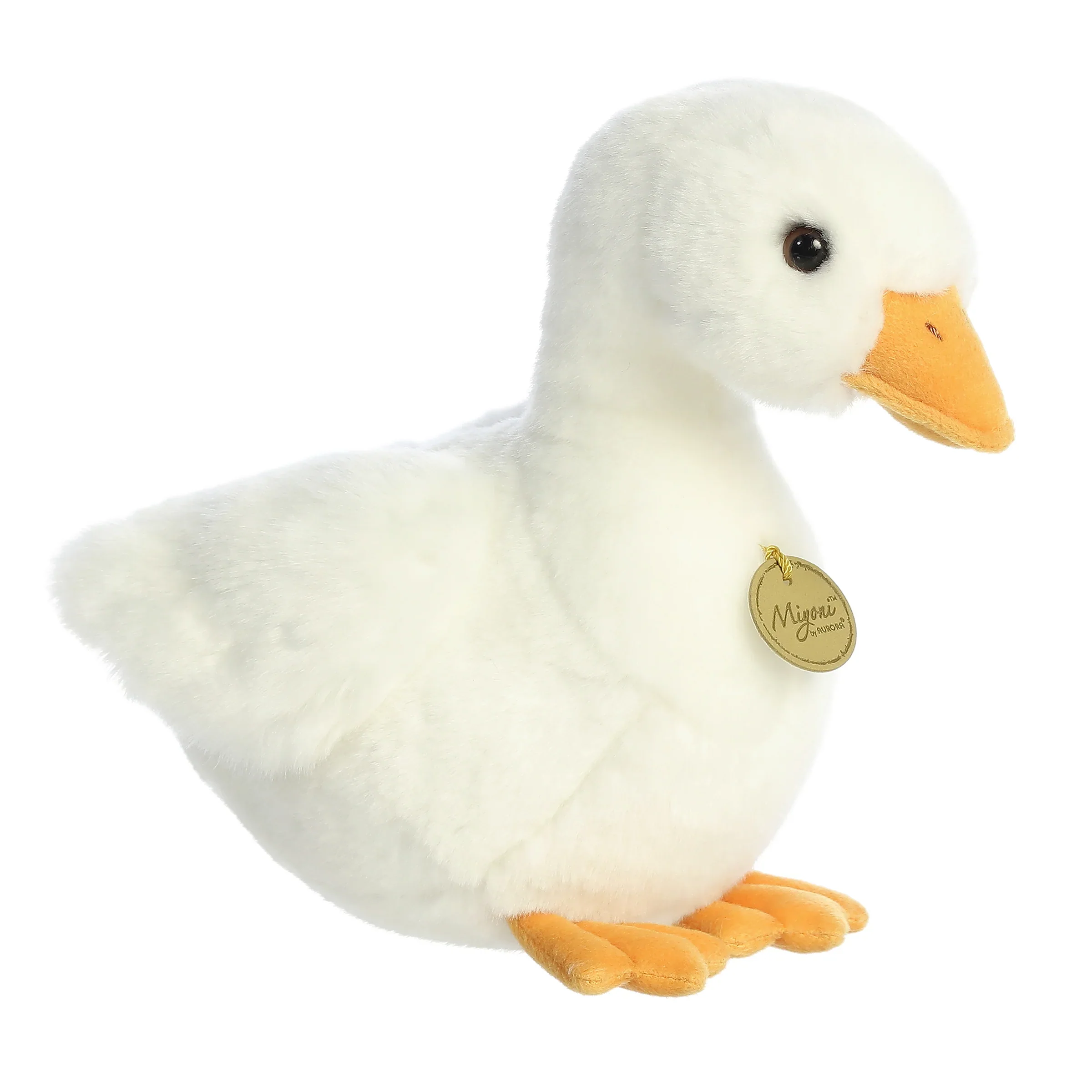 AMERICAN PEKIN DUCK 11″