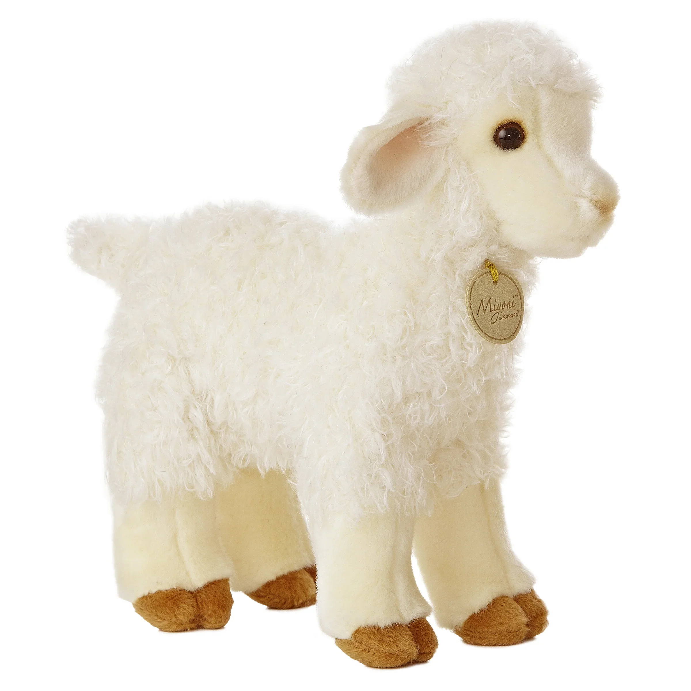 Lovely Lamb
